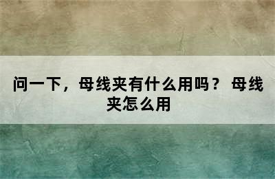 问一下，母线夹有什么用吗？ 母线夹怎么用